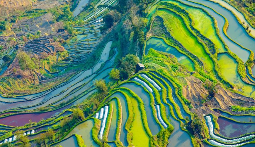 宝妈必备神器：蒲江县产品视频拍摄轻松育儿好帮手