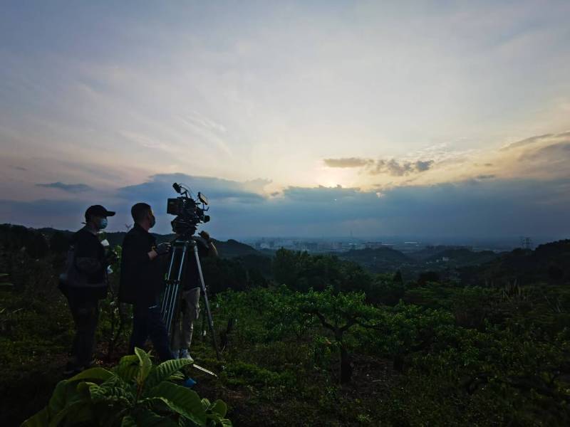 聚焦蒲江县产品宣传视频拍摄公司，用专业实力铸就品牌传播传奇